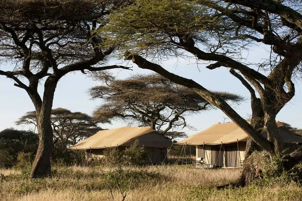 Ndutu Under Canvas Safari Camp