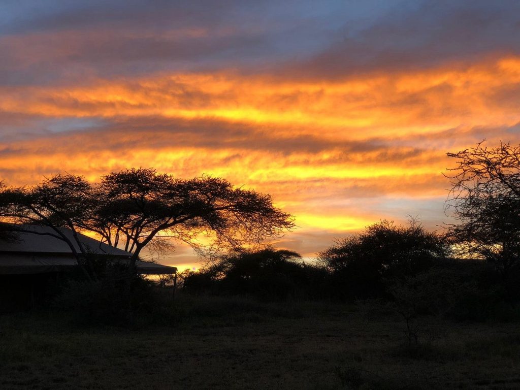 Mbugani Camp Serengeti