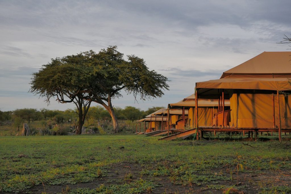Mbugani Camp Serengeti
