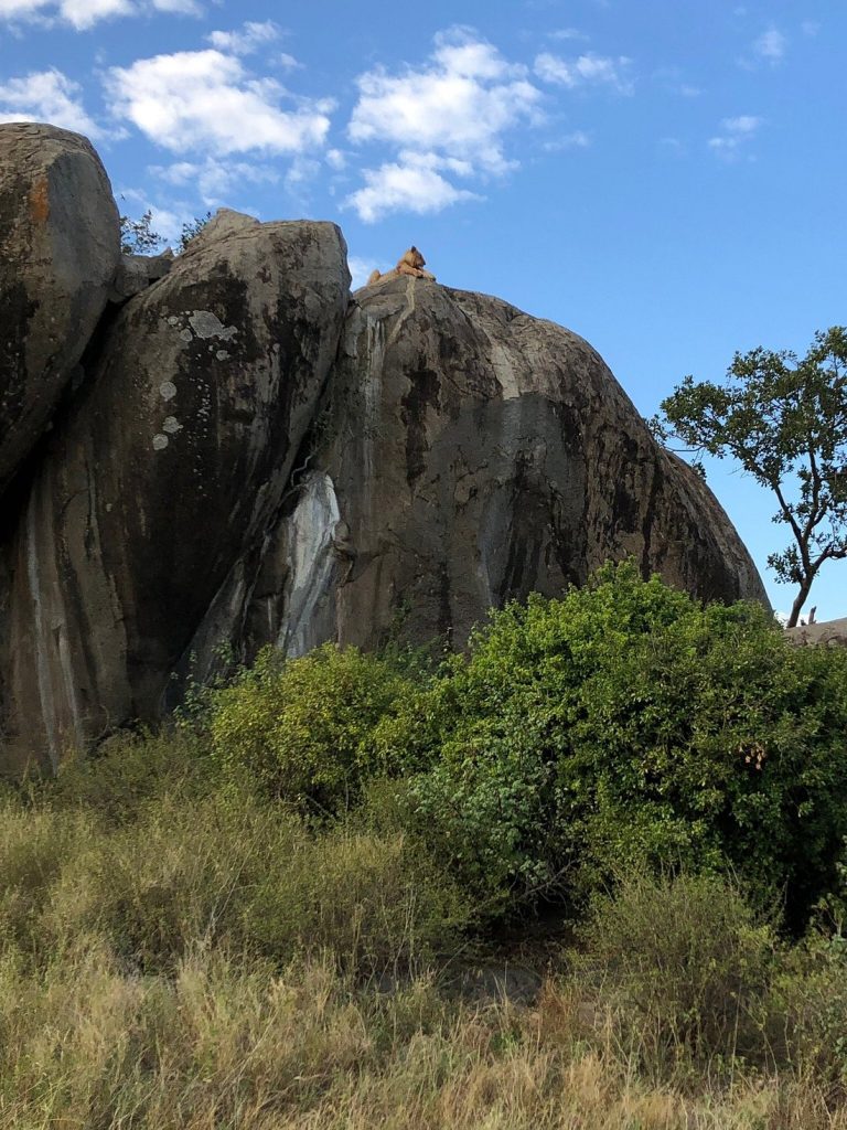 Mawe Tented Camp
