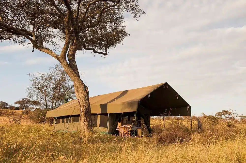 Nomad Serengeti Safari Camp