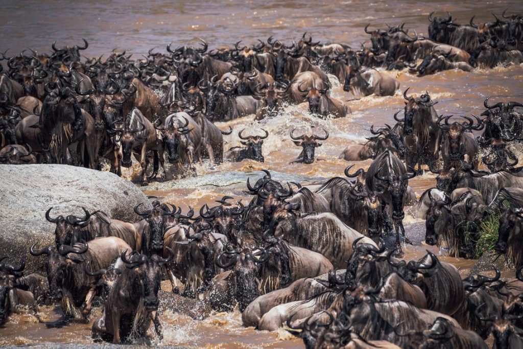 Aurari Camp Serengeti