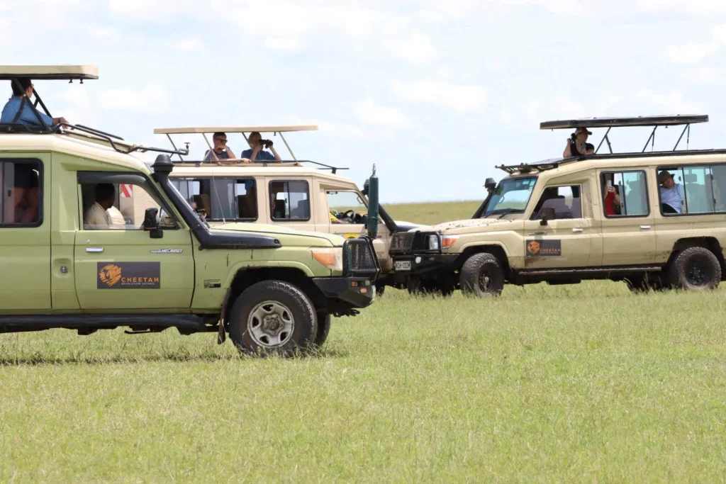 Game Drives in Maasai Mara