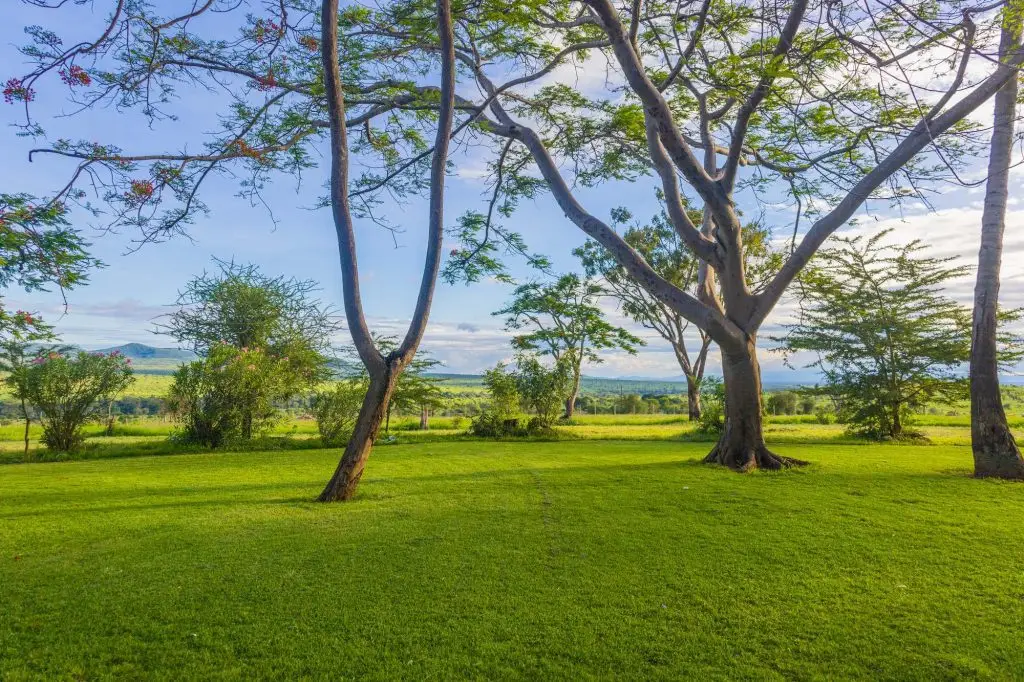 Taita Hills Safari Resort & Spa