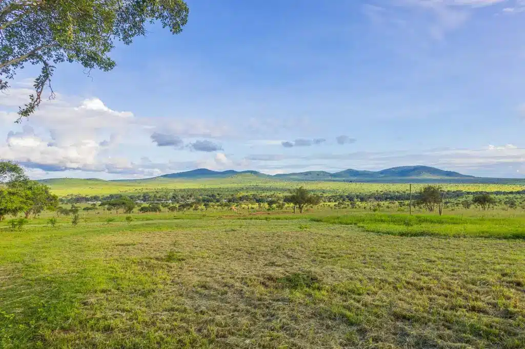 Taita Hills Safari Resort & Spa