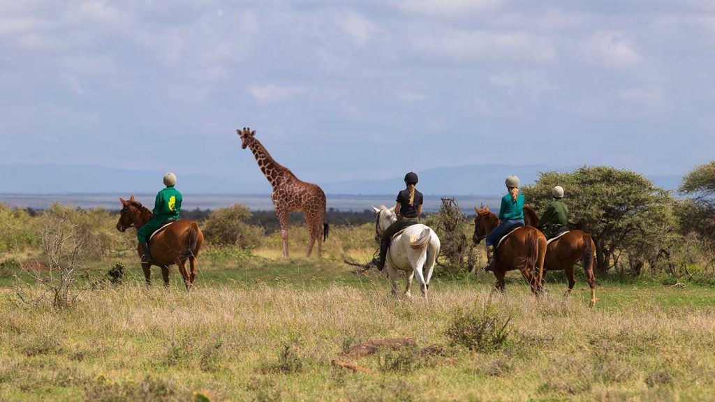 Elewana Loisaba Star Beds - Lewa wildlife conservancy