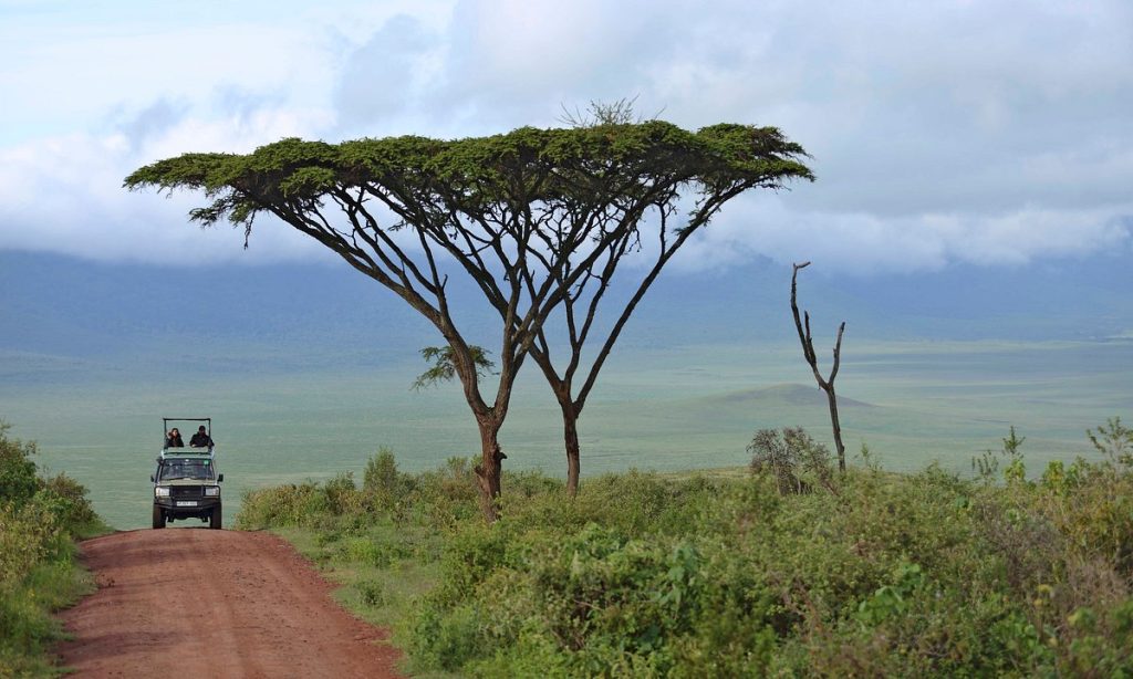 Asilia Highlands Ngorongoro