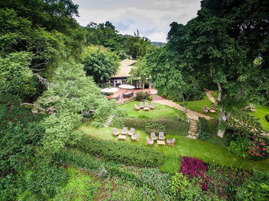 Gibb's Farm Ngorongoro