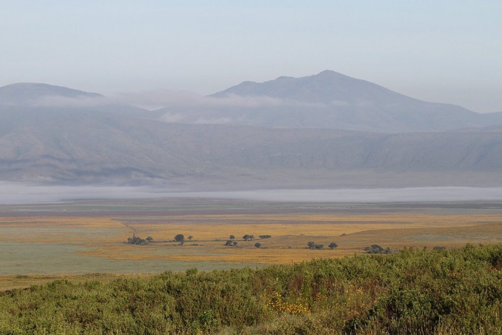 Lemala Ngorongoro Camp