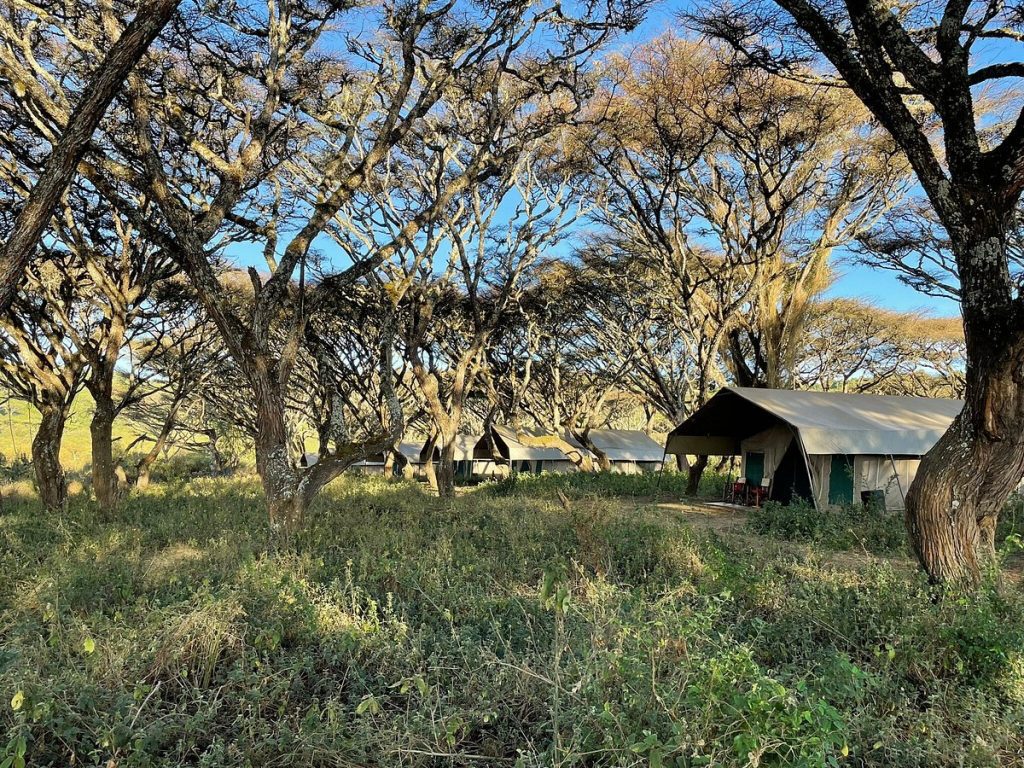 Lemala Ngorongoro Camp