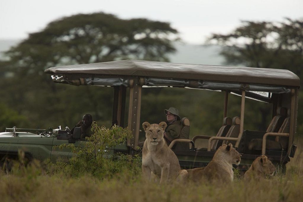 Mara Plains Luxury Camp