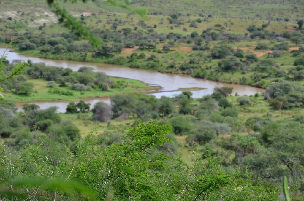 Elewana Loisaba Star Beds - Lewa wildlife conservancy