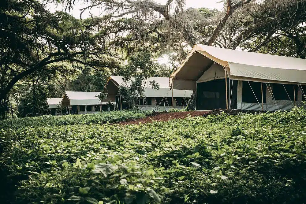 Ngorongoro Tortilis Camp