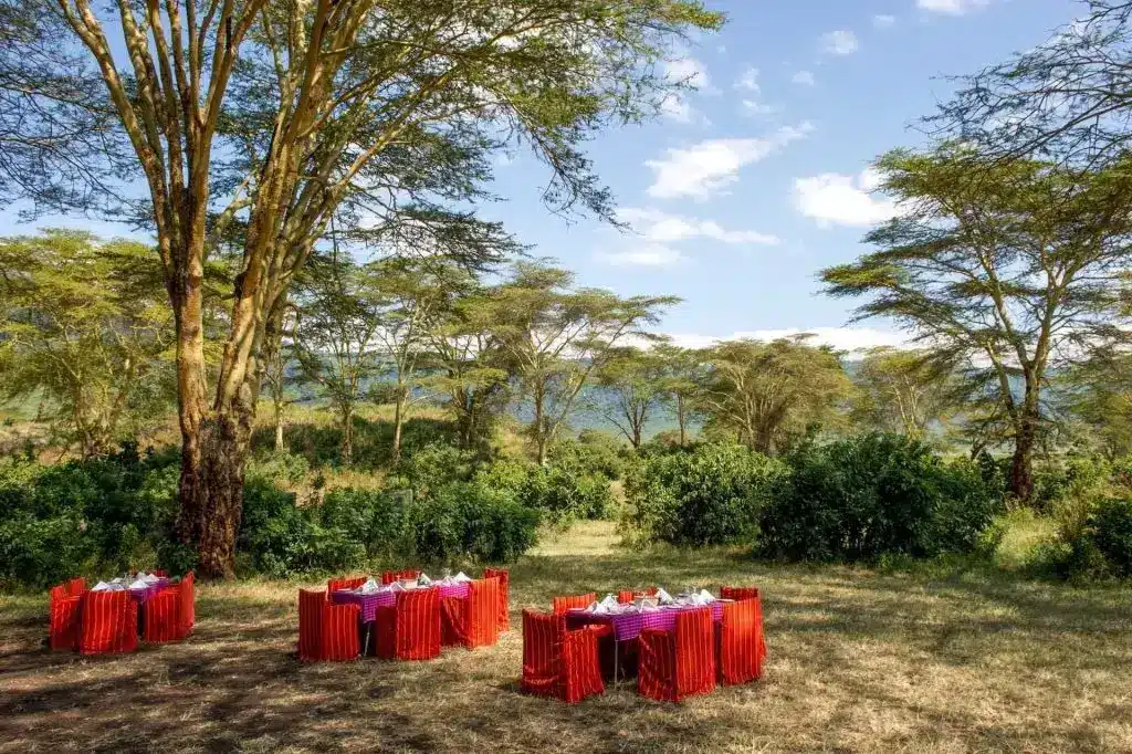 Ngorongoro Serena Safari Lodge