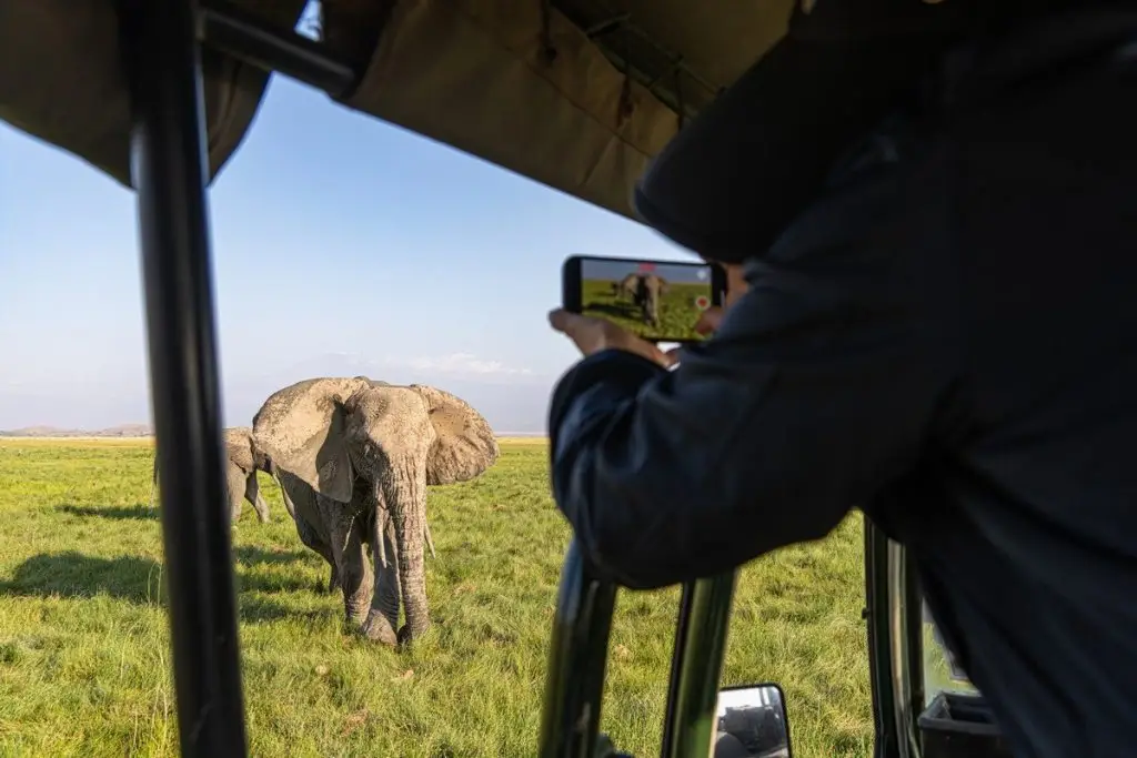 Why Amboseli Is Kenya'S Top Elephant Spot 5 Why Amboseli is Kenya’s Top Elephant Spot