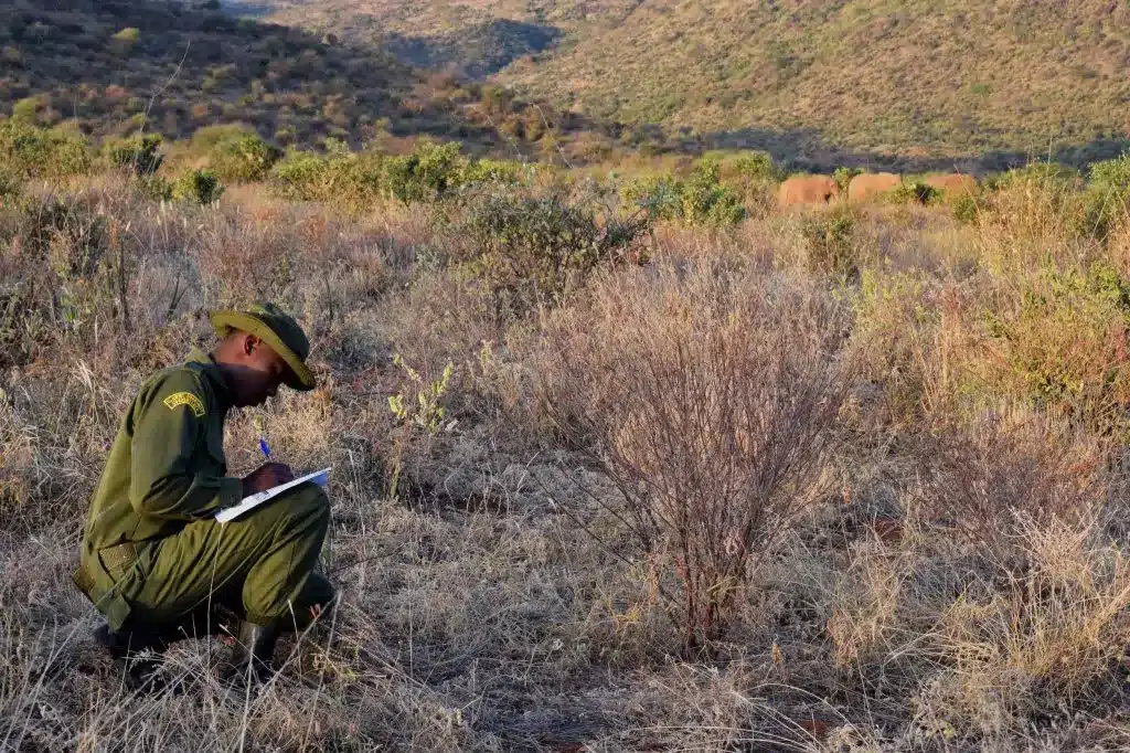 Community-Led Conservation