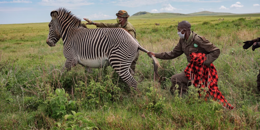 Community-Led Conservation