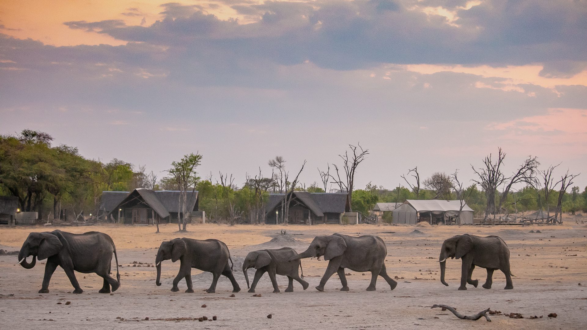 Zimbabwe Safaris - Luxury Zimbabwe Safaris