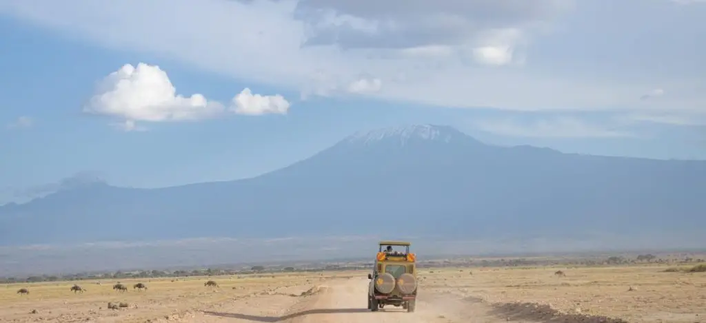 January - Best Time to Visit Kenya for Safaris
