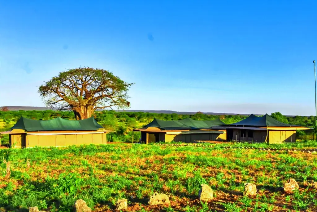 Ndutu Mobile Camp