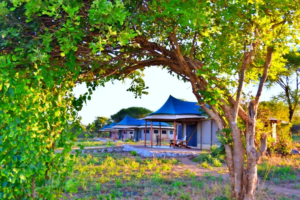 Ndutu Mobile Camp