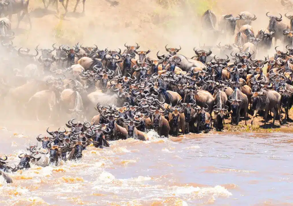 Mountain Climbing 9 Flying Safaris in Africa - African Flying Safaris