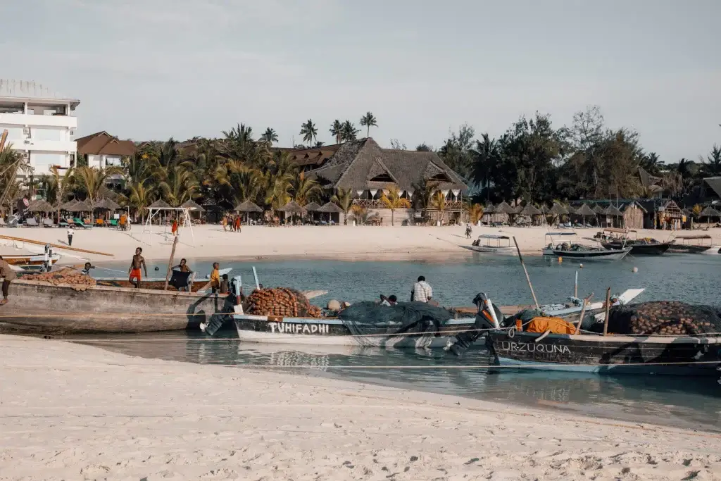 7 Days 6 Tanzania And Zanzibar Beach Safari 9 Ultimate Guide to Zanzibar