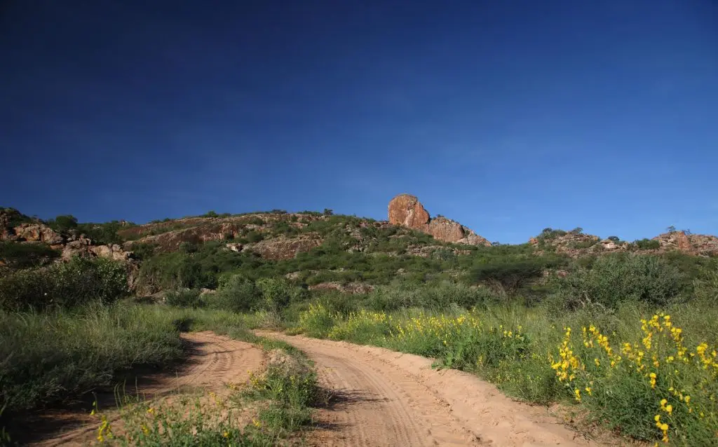 Flying Safari to Samburu and Maasai Mara