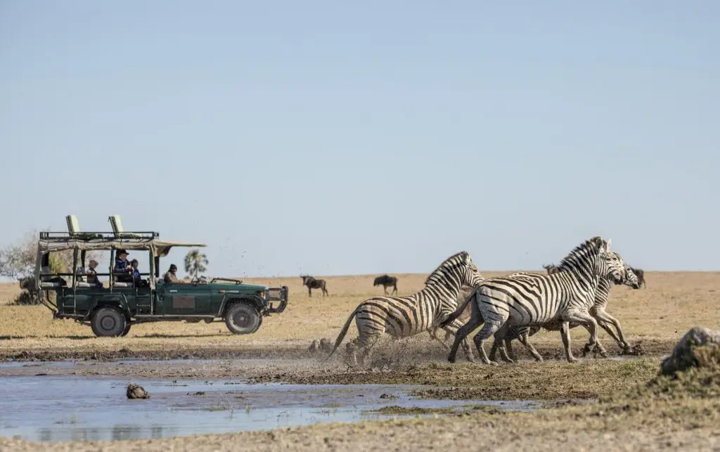 Camp Kalahari