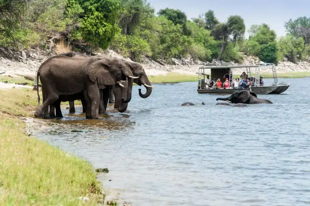 Zambezi Queen