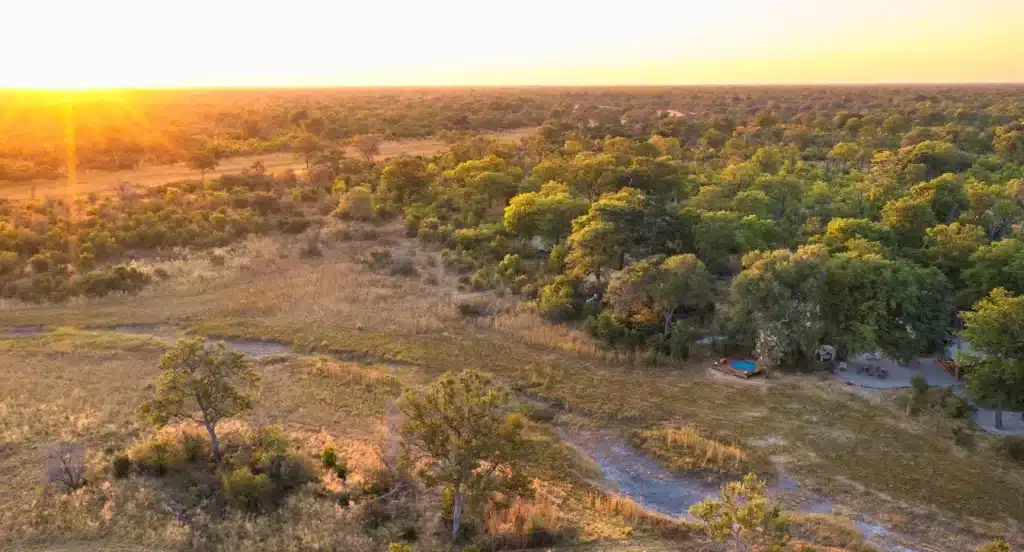 Selinda Explorers Camp