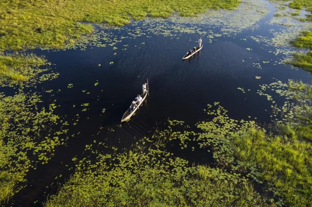 Best Safari Activities in Botswana