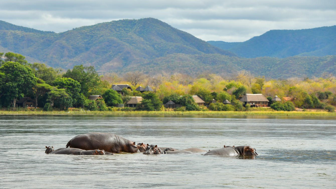 Zambia Accommodations 9 Royal Zambezi Lodge