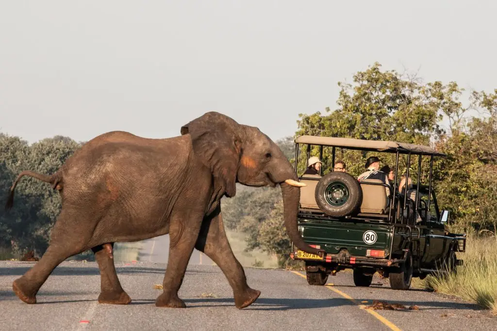 Chobe Safari Lodge