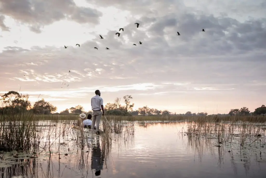Wilderness Vumbura Plains