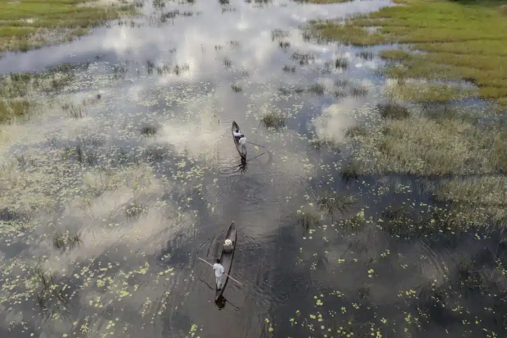 Wilderness Vumbura Plains