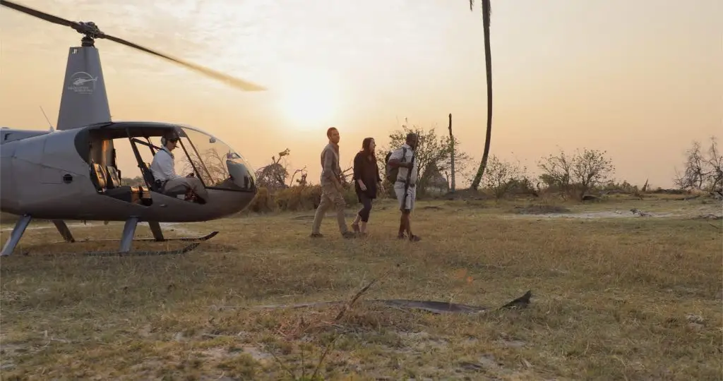 What Are The Best Safari Activities In Botswana 17 Best Safari Activities in Botswana