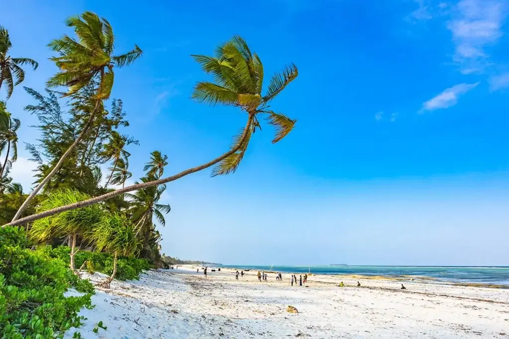 Best Beaches and Islands in Zanzibar