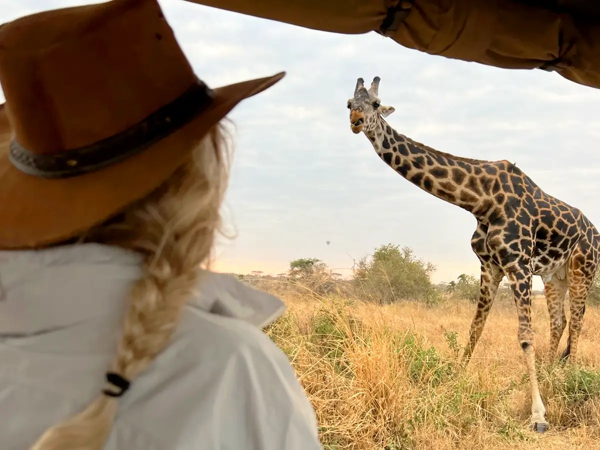 Best Time To Visit Tanzania For Safari - June