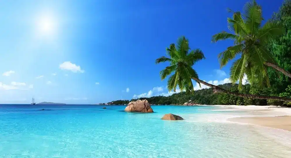 Discover Coastal Kenya: A Journey Into Paradise 13 malindi bg2