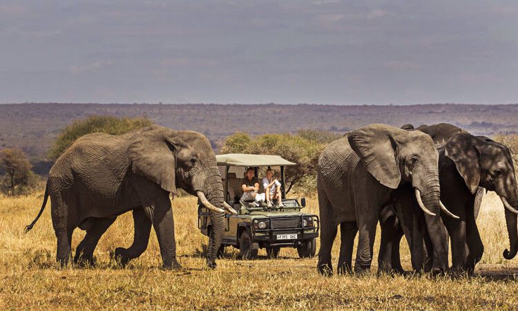 Best Time To Visit Tanzania For Safari - April
