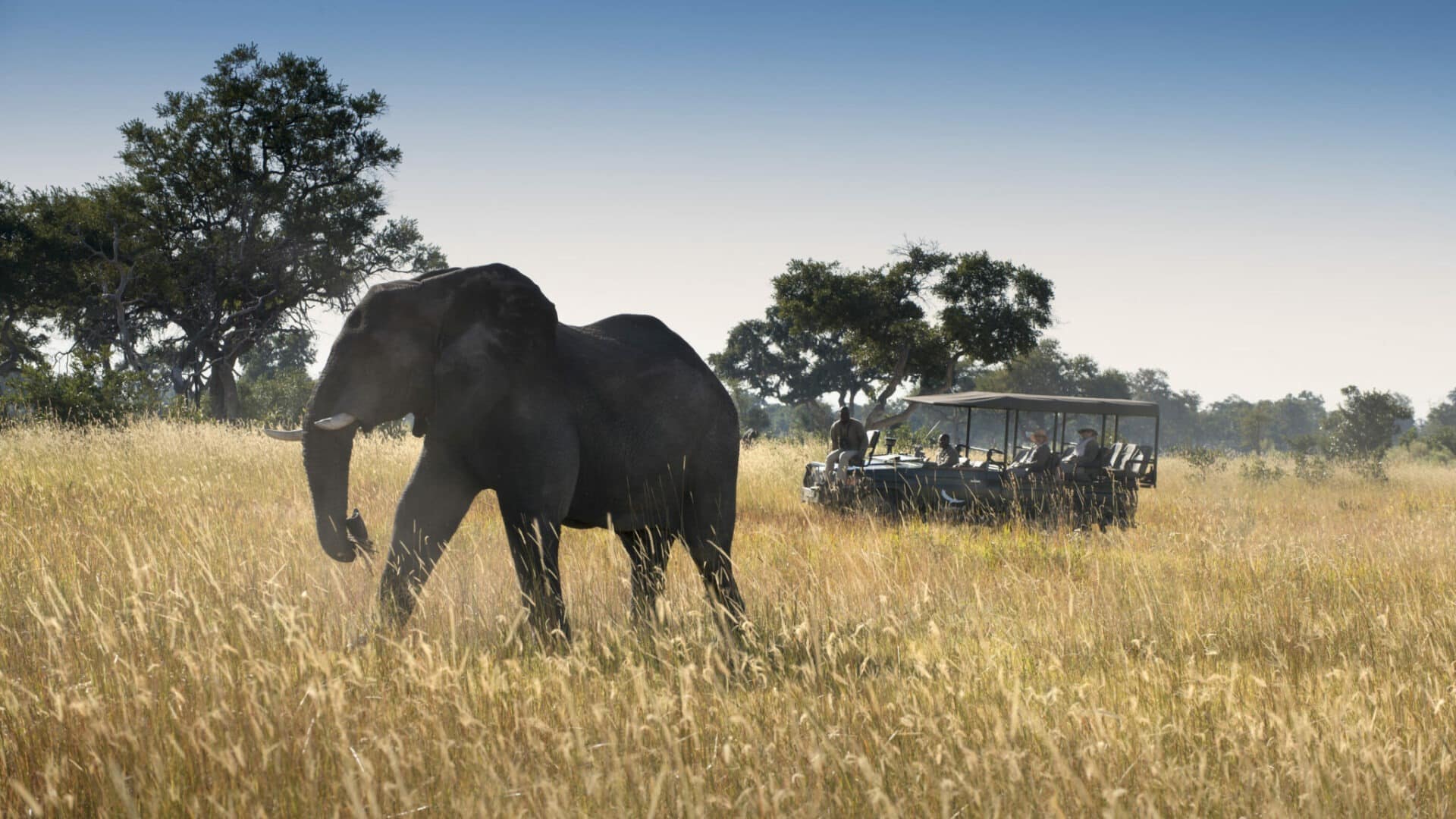 Botswana National Parks - Okavango - Cheetah Safaris