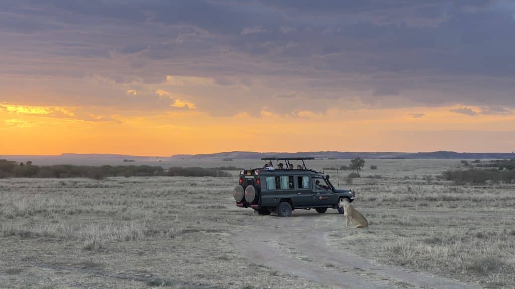 Cheetah Safaris in Masai Mara Kenya