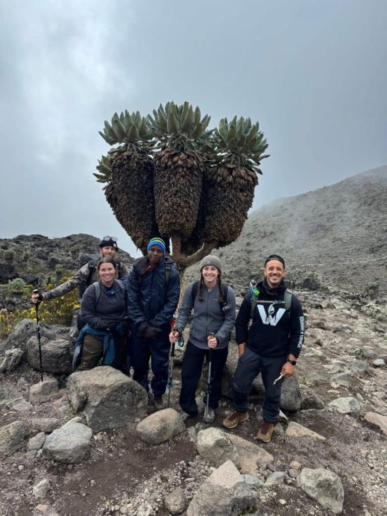 Mount Kilimanjaro Climbing - Trekking and Mountain Climbing - Cheetah Safaris