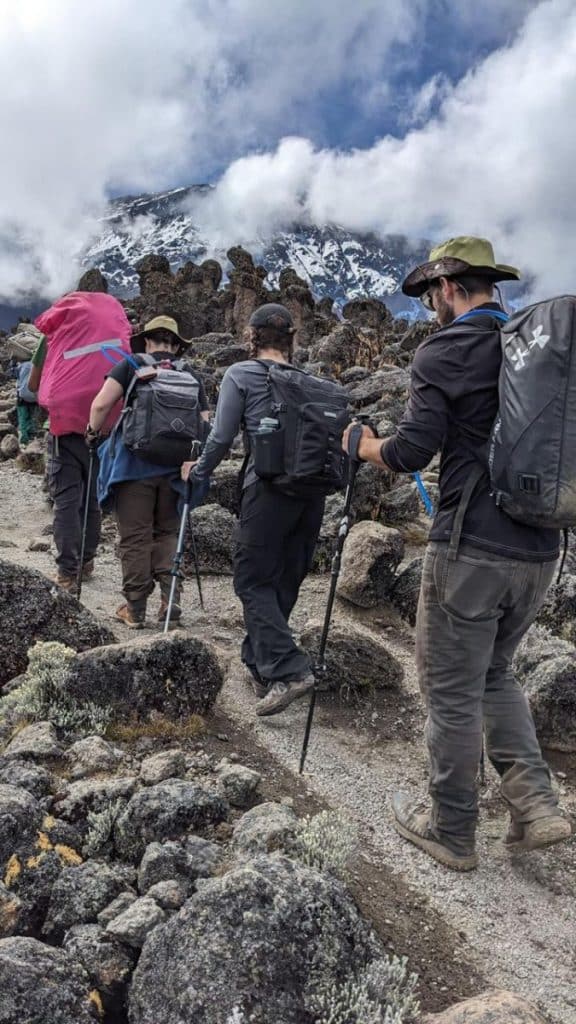 Mount Kilimanjaro Climbing - Trekking and Mountain Climbing - Cheetah Safaris