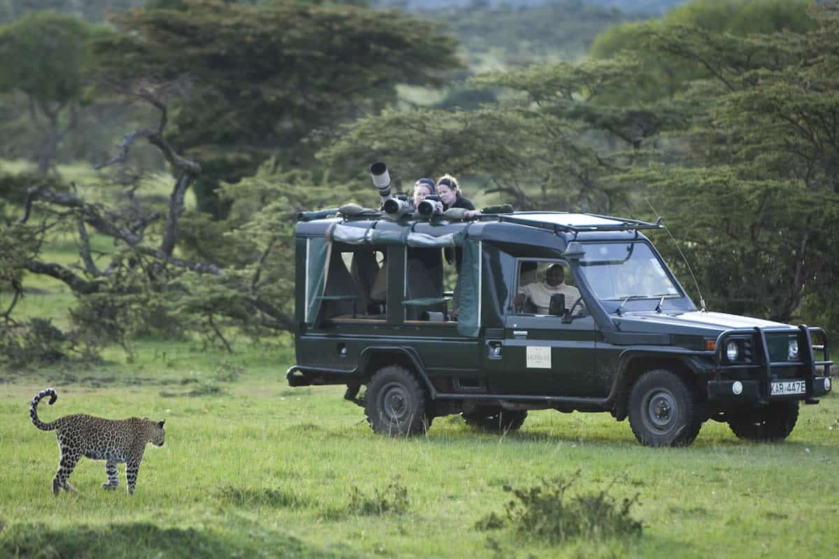 African Wildlife Photography Safaris - Photo Safaris in Africa - Cameras - Cheetah Safaris
