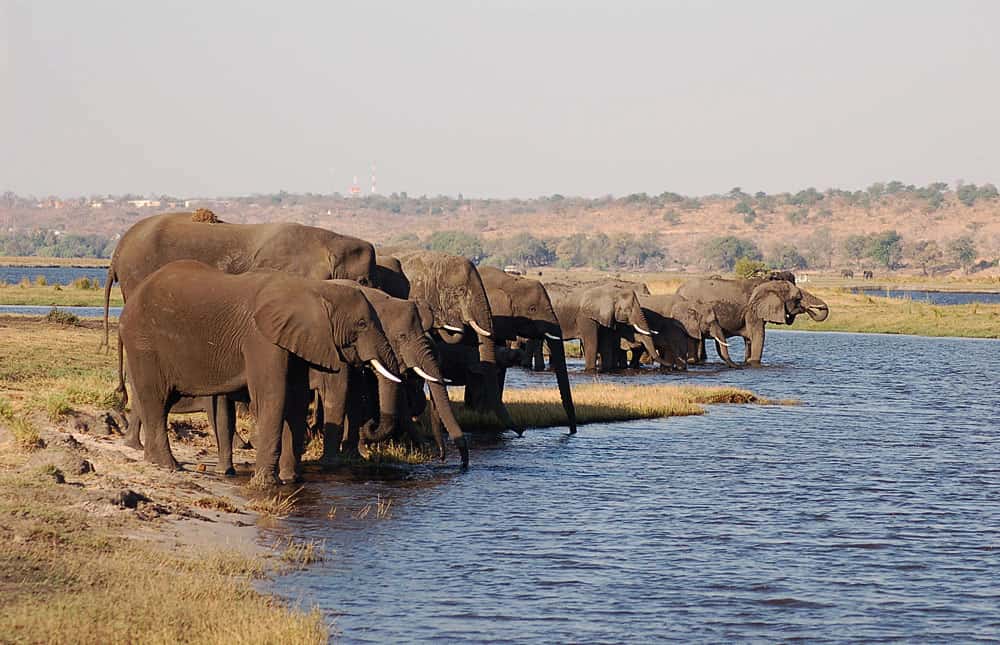 Best Time to Visit Namibia - April - Cheetah Safaris