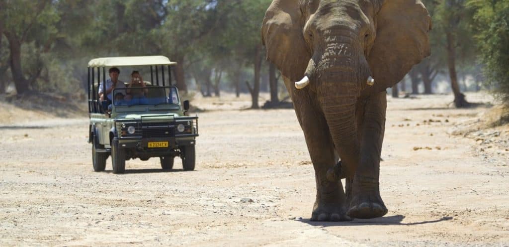 Best Time to Visit Namibia - February - Cheetah Safaris