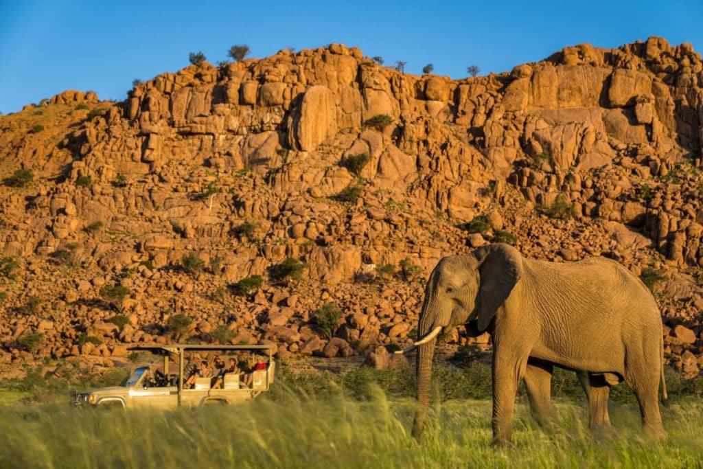Best Time to Visit Namibia - June - Cheetah Safaris