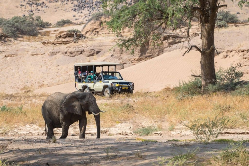 Best Time to Visit Namibia - September - Cheetah Safaris
